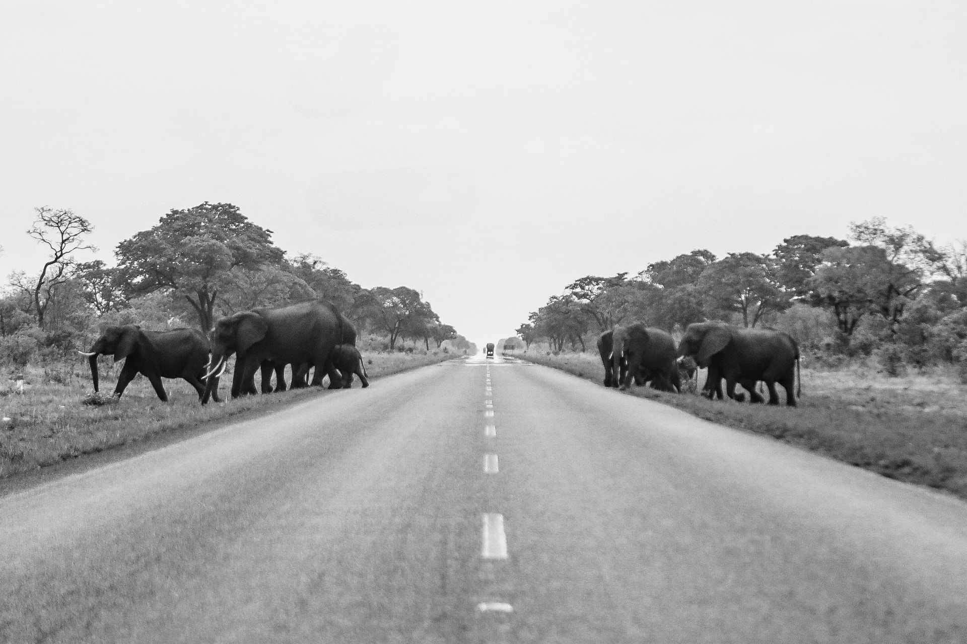 Right of Way