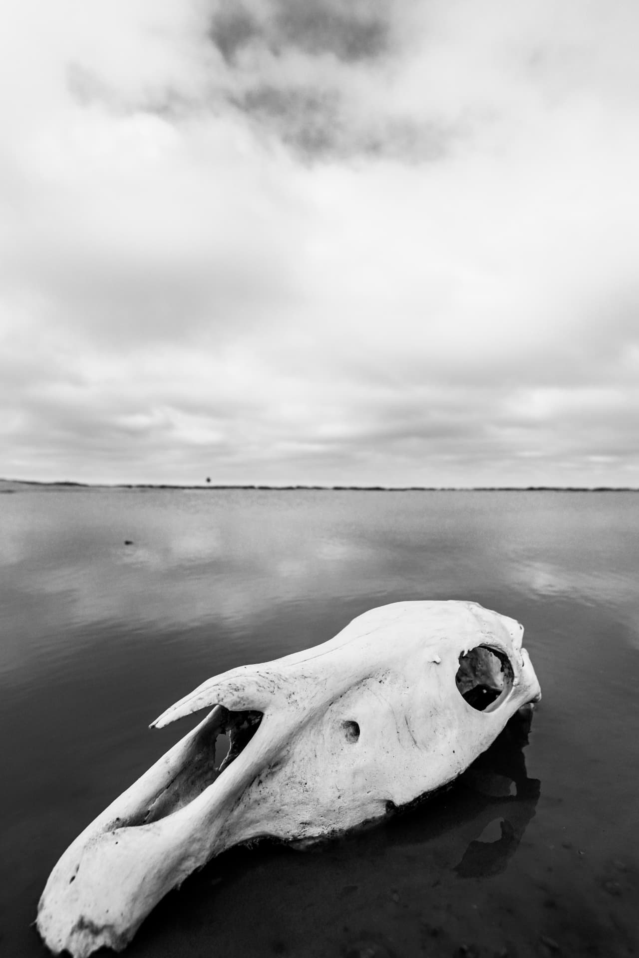 Water's Edge